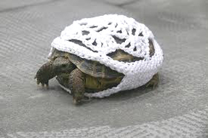 yarn_bomb_turtle
